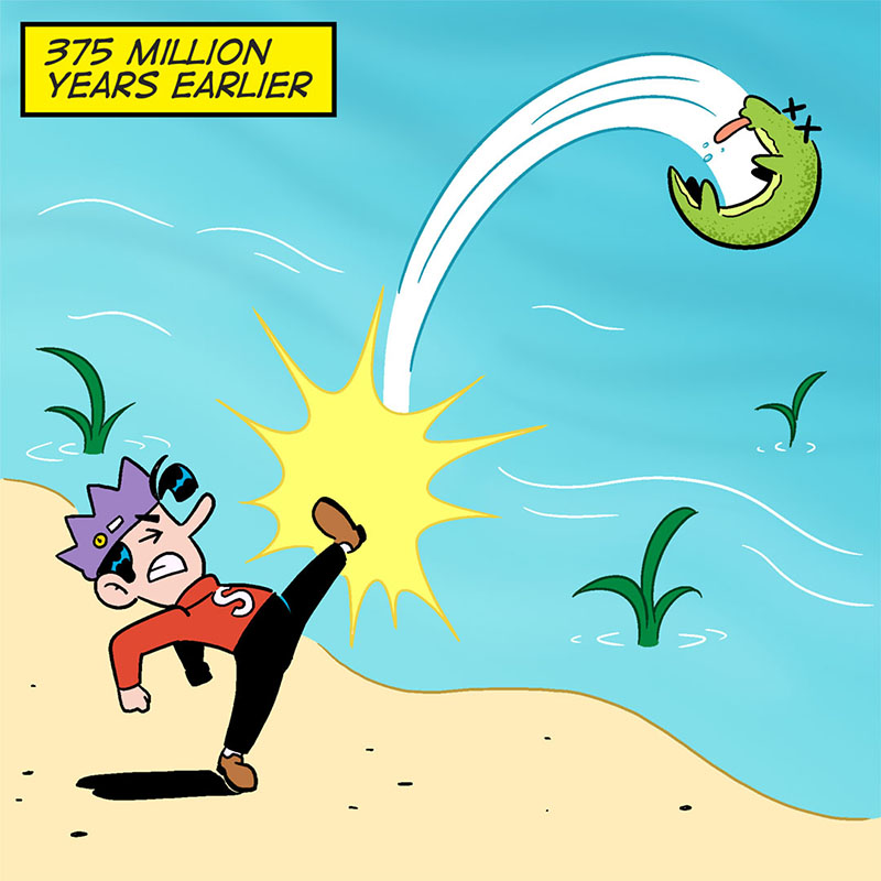 https://cdn.tinyview.com/archie/013/P4.jpg