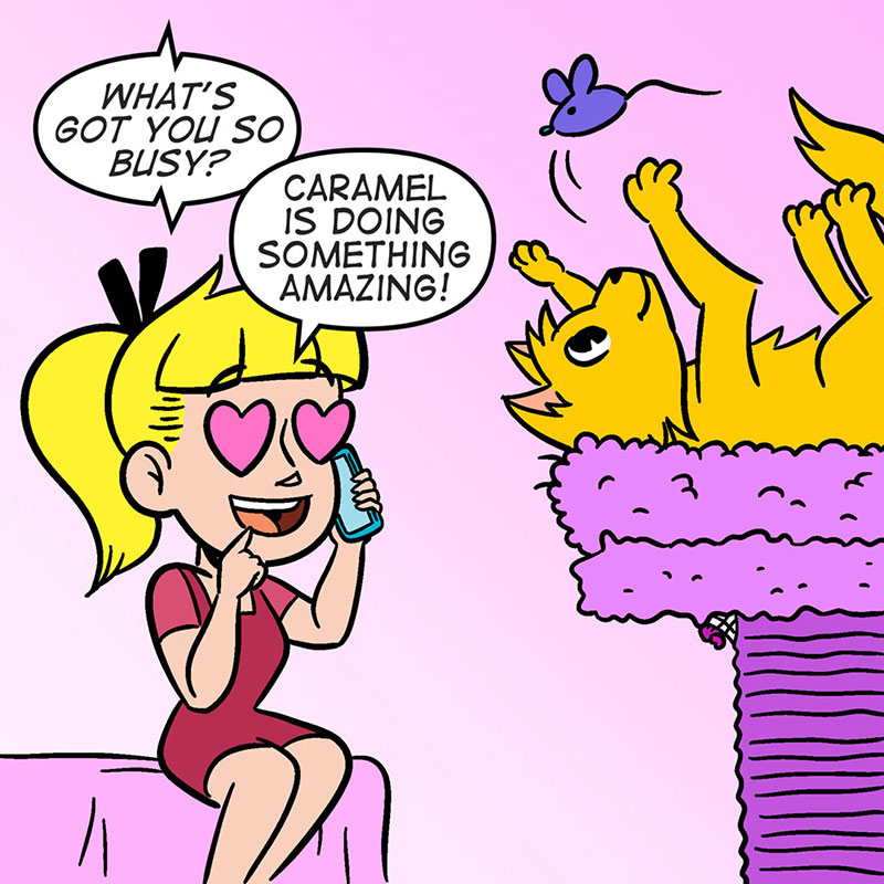 https://cdn.tinyview.com/archie/2021/10/07/44-literally-purrfect/P2.jpg