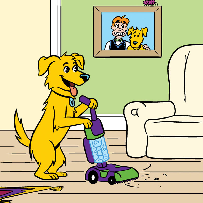 https://cdn.tinyview.com/archie/2022/07/28/86-superb-pet/P3.jpg