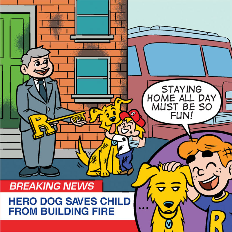 https://cdn.tinyview.com/archie/2022/07/28/86-superb-pet/P4.jpg