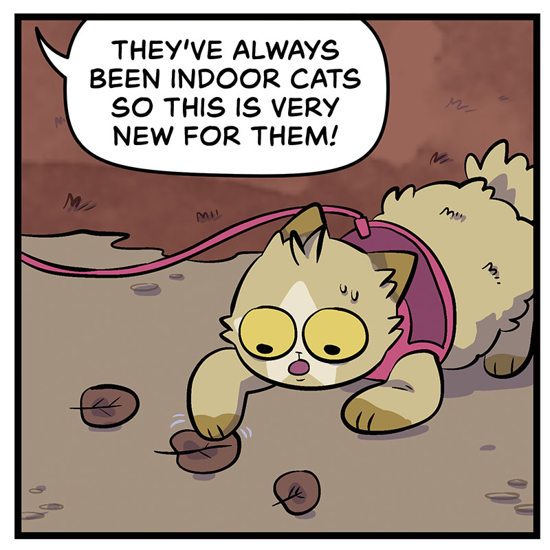 https://cdn.tinyview.com/bite-subscribe/2021/11/16/episode-4-walking-the-cats/Bite004_Panel2.jpg