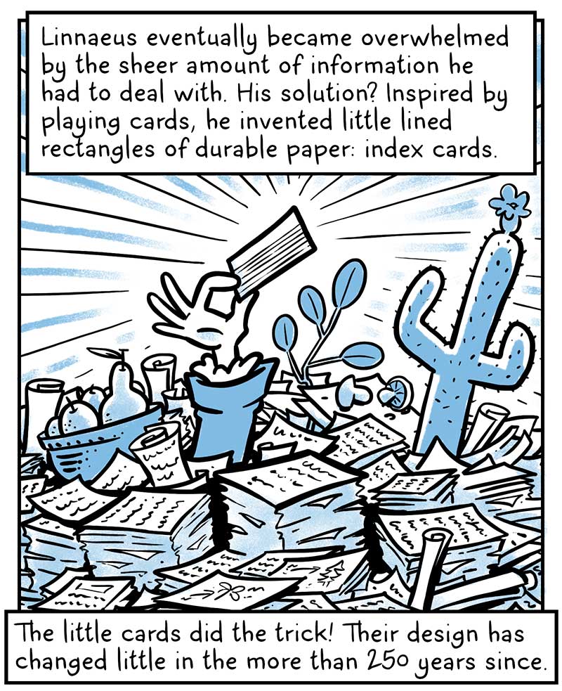 https://cdn.tinyview.com/brief-histories/2024/08/21/a-brief-history-of-index-cards/Linnaeus7.jpg