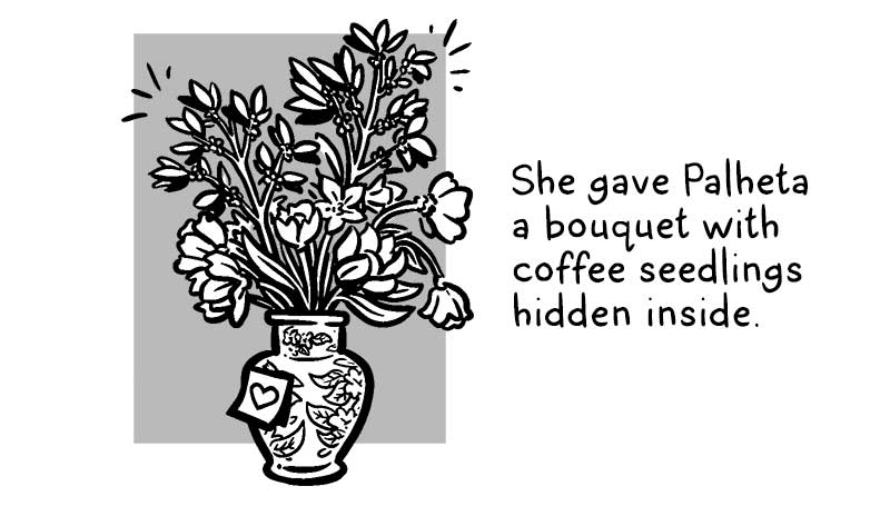 https://cdn.tinyview.com/brief-histories/2025/08/14/a-brief-history-of-coffee-beans/13.jpg