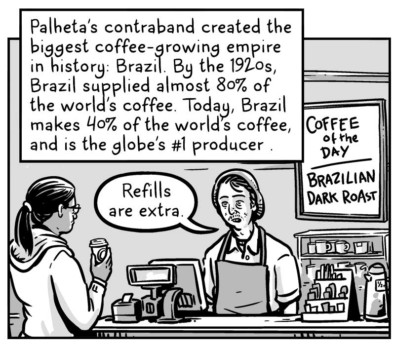 https://cdn.tinyview.com/brief-histories/2025/08/14/a-brief-history-of-coffee-beans/15.jpg