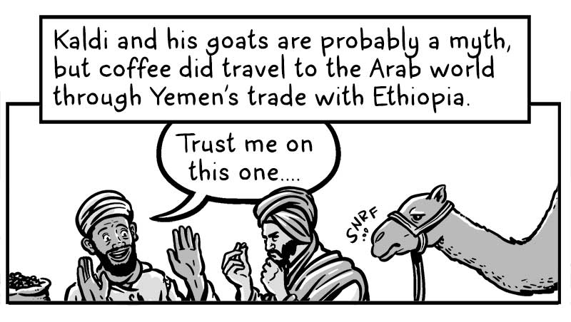 https://cdn.tinyview.com/brief-histories/2025/08/14/a-brief-history-of-coffee-beans/6.jpg