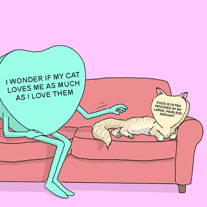 https://cdn.tinyview.com/candy-hearts/2022/08/04/comic-8-cat-love/080522-cat-love-800-x-800.jpg