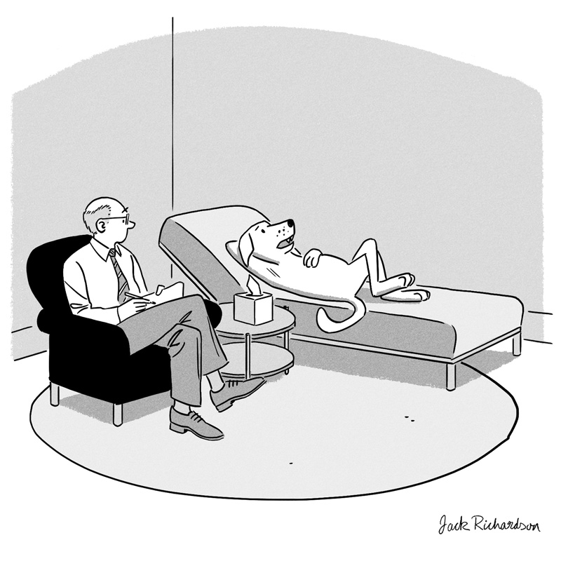 https://cdn.tinyview.com/caption-contest/2023/08/21/dog-in-therapy/caption-02.jpg