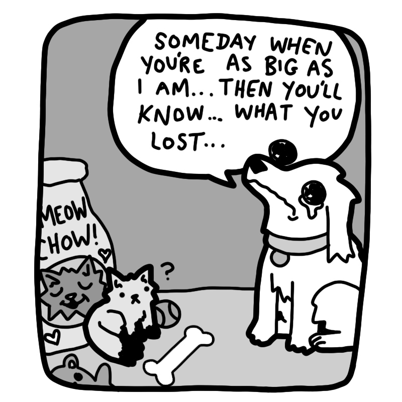 bonus-panel-image
