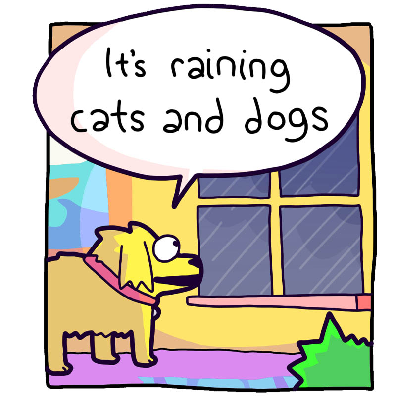 https://cdn.tinyview.com/deogie/2026/04/01/raining-cats-and-dogs/_0001s_0003_Layer-389.jpg