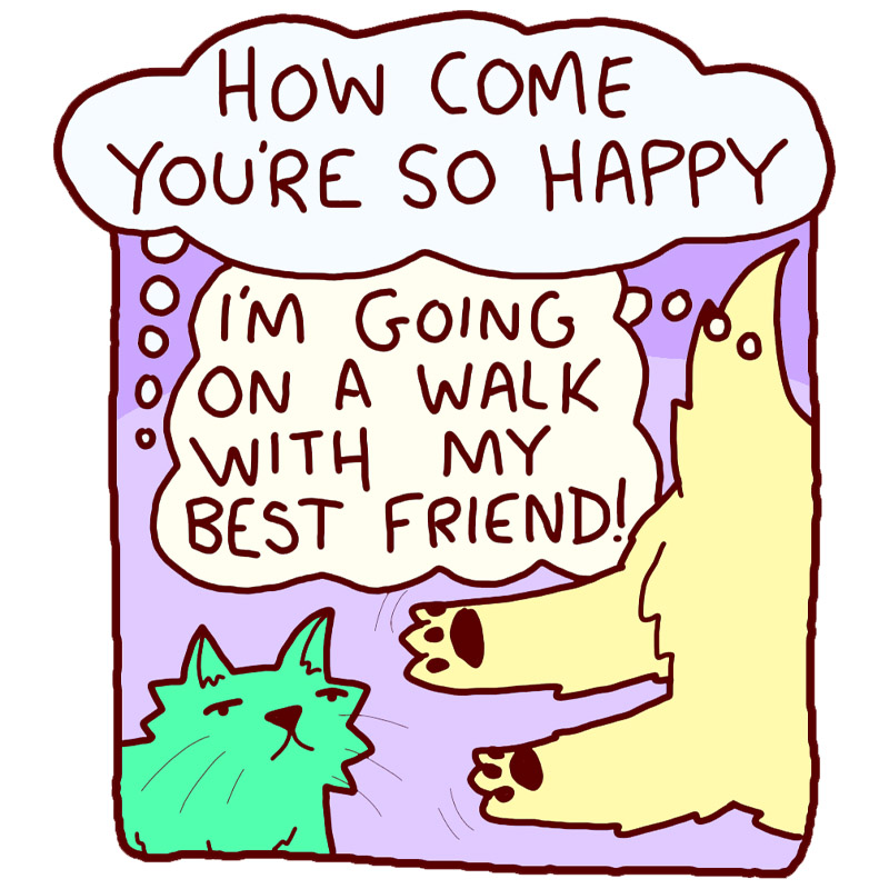 https://cdn.tinyview.com/deogie/2026/05/15/bff-walkies/1.jpg