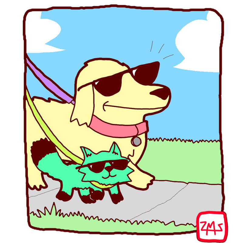 https://cdn.tinyview.com/deogie/2026/05/15/bff-walkies/4.jpg