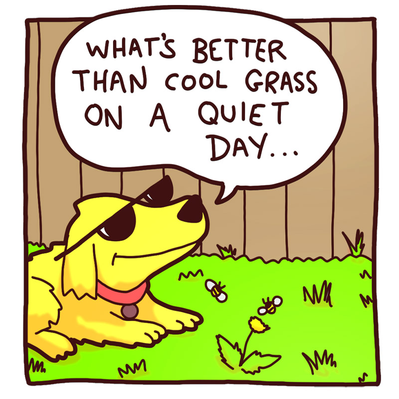 https://cdn.tinyview.com/deogie/2026/06/12/yardwork/1.jpg