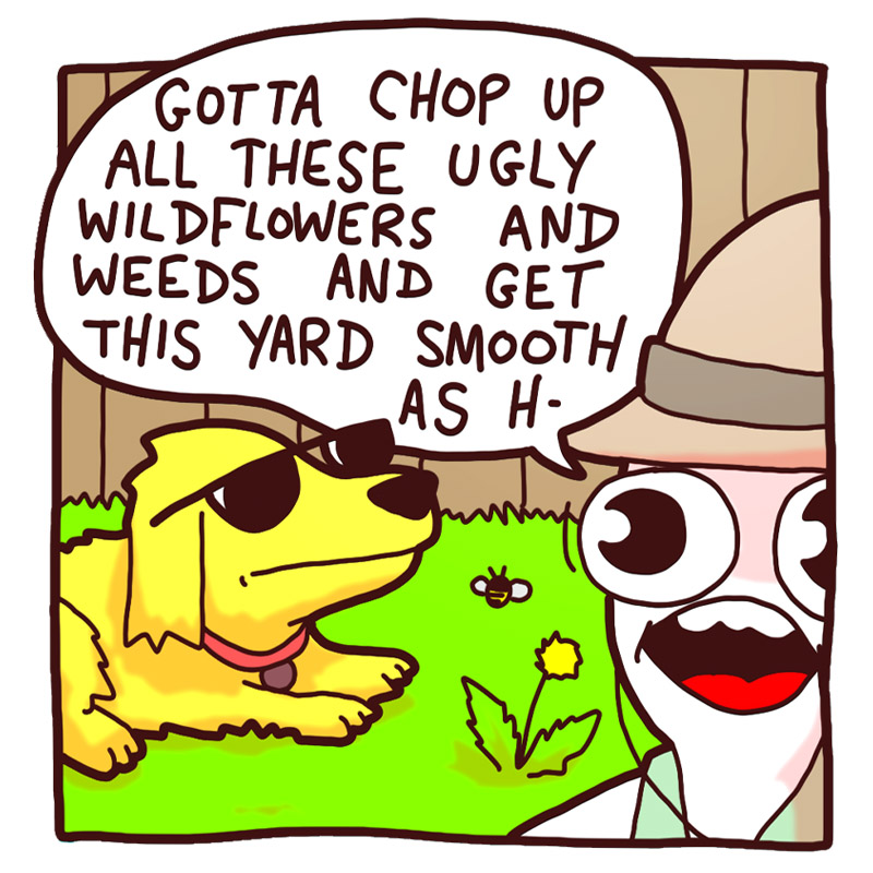 https://cdn.tinyview.com/deogie/2026/06/12/yardwork/3.jpg
