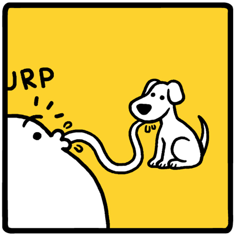 https://cdn.tinyview.com/eggs-n-ben/2023/06/19/noodle-poodle/13-3.jpg