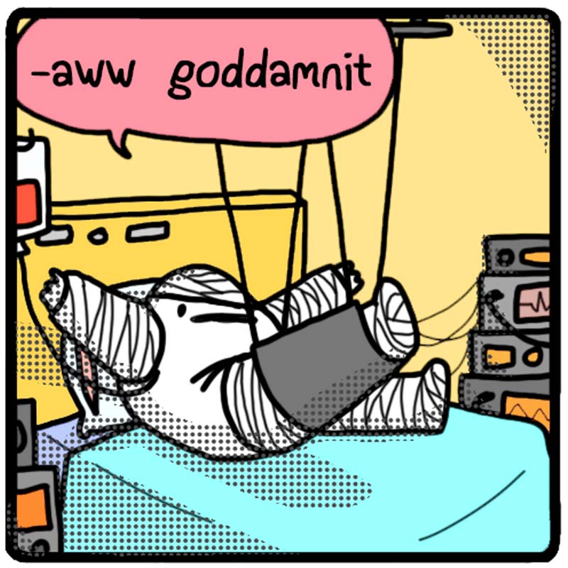 https://cdn.tinyview.com/eggs-n-ben/2023/09/07/ballin-on-a-buddy/4.jpg