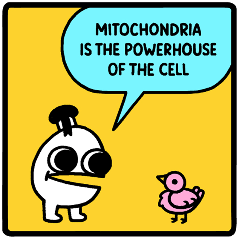 https://cdn.tinyview.com/eggs-n-ben/2023/10/30/knowledge-is-power/b_0030_Neighborhood-Land-Knowledge-is-Power-Comic.png
