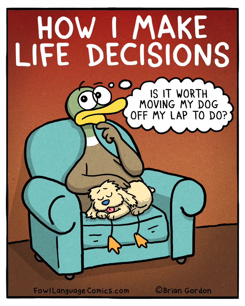 https://cdn.tinyview.com/fowl-language/2020-08-28-life-decisions/life-decisions.jpg