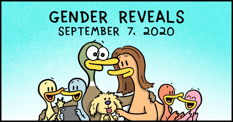 https://cdn.tinyview.com/fowl-language/2020-09-07-gender-reveals/fowl-language-header.jpg