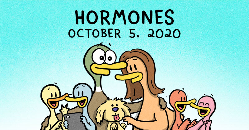 Hormones