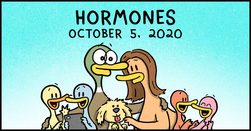 https://cdn.tinyview.com/fowl-language/2020-10-05-hormones/fowl-language-header.jpg