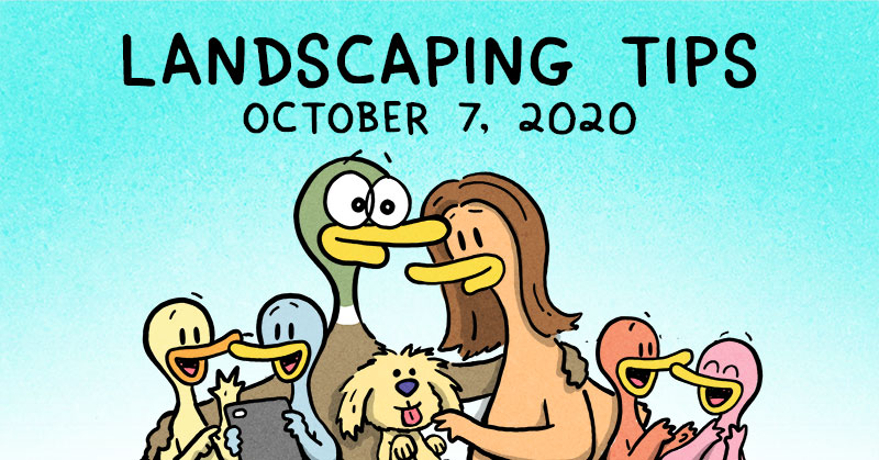 Landscaping Tips