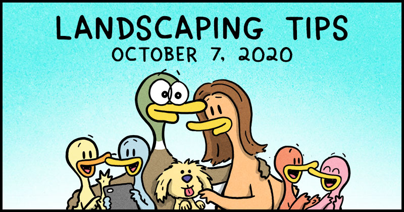 https://cdn.tinyview.com/fowl-language/2020-10-07-landscaping-tips/fowl-language-header.jpg