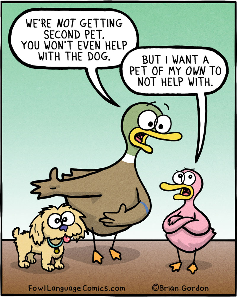 https://cdn.tinyview.com/fowl-language/2020-10-13-a-pet-of-their-own/1.jpg
