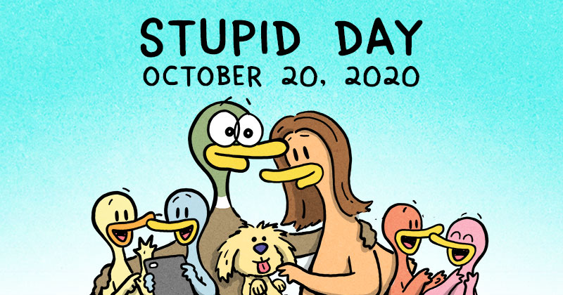 Stupid Day