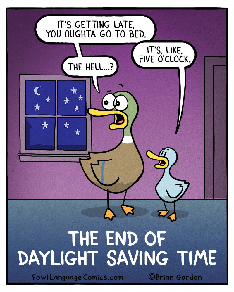 https://cdn.tinyview.com/fowl-language/2020-11-02-the-end-of-daylight-saving-time/the-end-of-daylight-saving.jpg