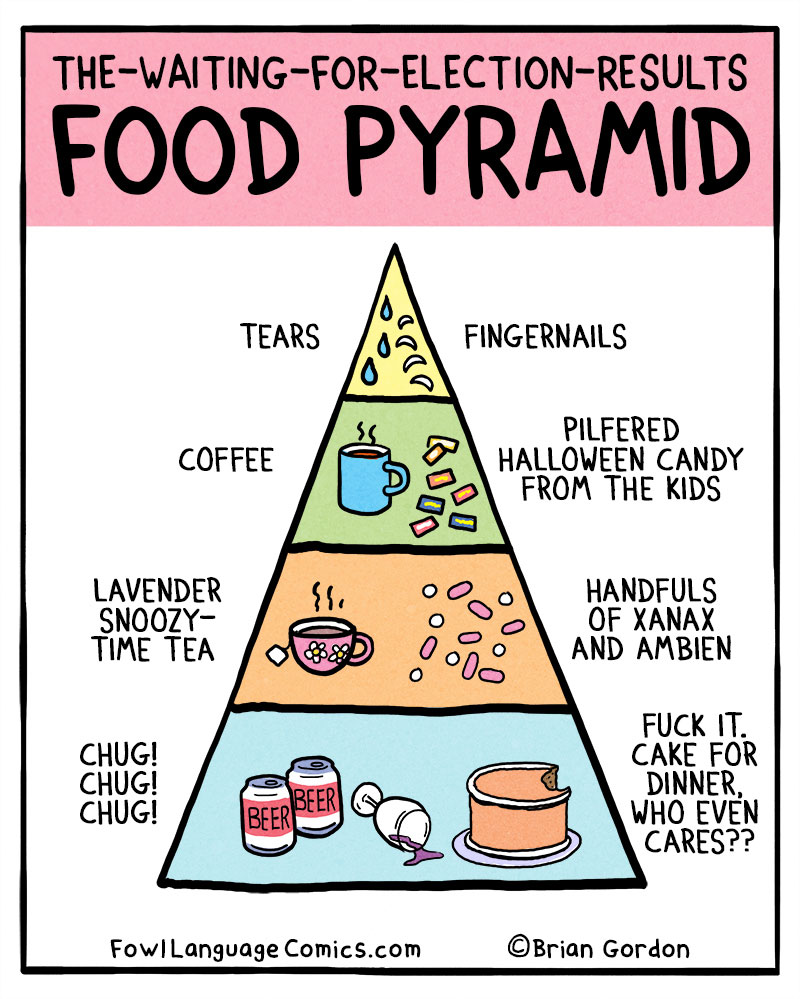 https://cdn.tinyview.com/fowl-language/2020-11-06-election-results-food-pyramid/food-pyramid.jpg