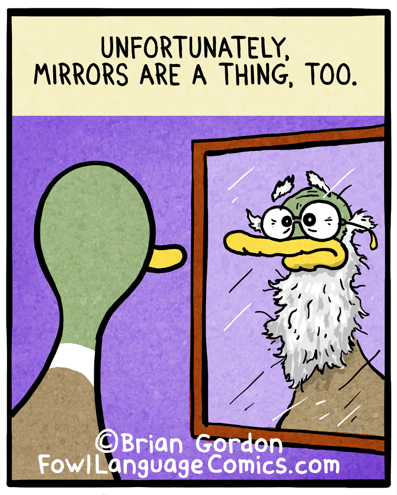 https://cdn.tinyview.com/fowl-language/2020-11-22-getting-older/getting-older-2.jpg