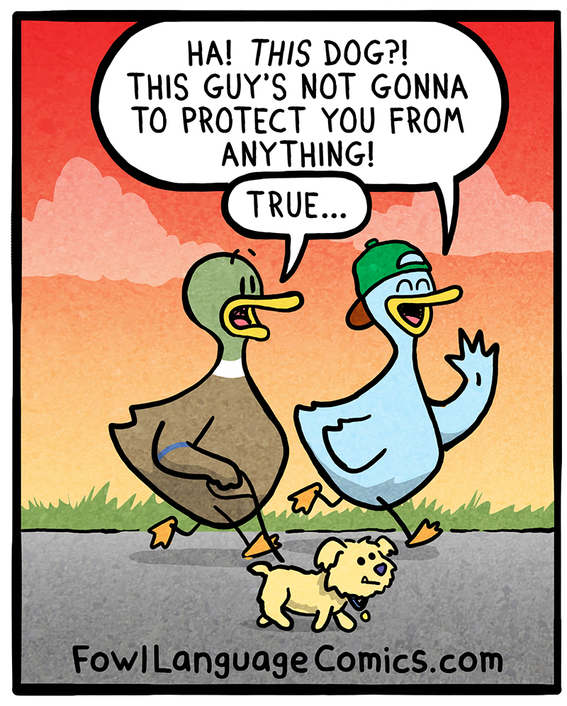 https://cdn.tinyview.com/fowl-language/2021-01-24-guns-or-dogs/Guns-or-Dogs-3.jpg