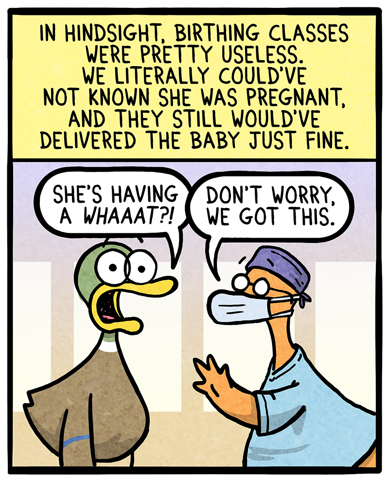 https://cdn.tinyview.com/fowl-language/2021-02-04-birthing-classes/birthing-classes-1.jpg