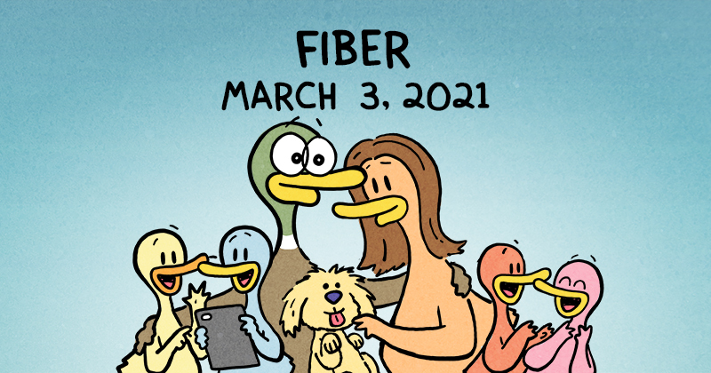 Fiber