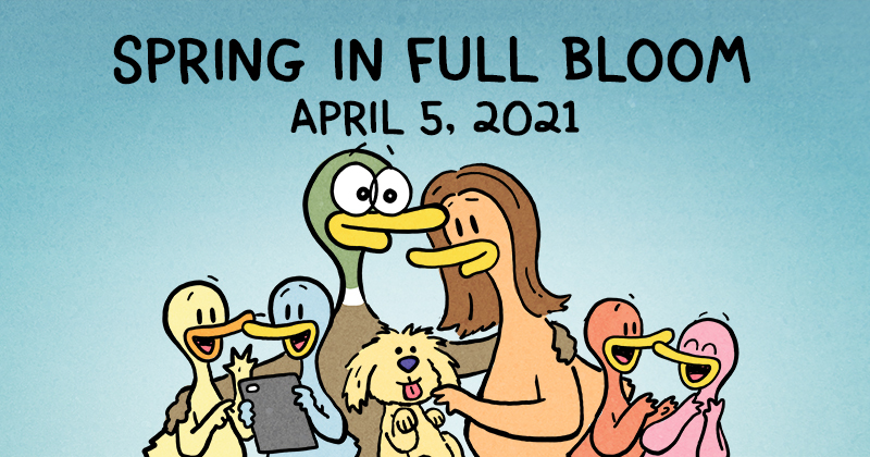 Spring In Full Bloom