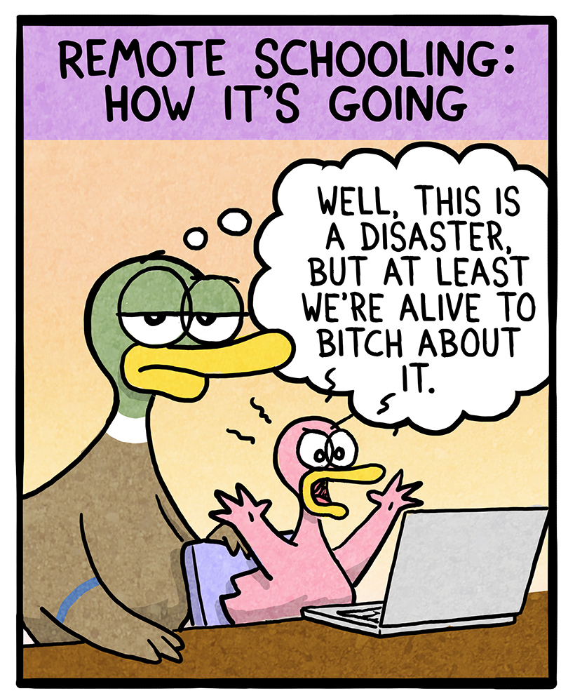 https://cdn.tinyview.com/fowl-language/2021/04/29/remote-schooling/remote-schooling-2.jpg