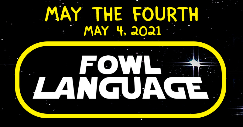 May The Fourth