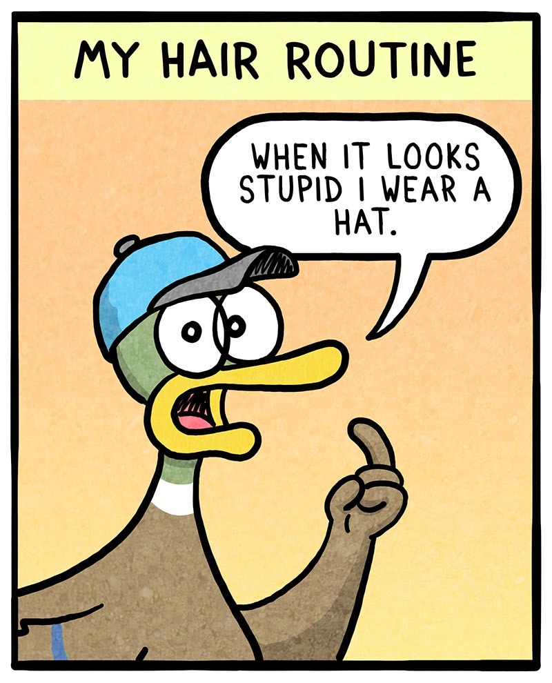 https://cdn.tinyview.com/fowl-language/2021/05/08/hair-routines/hair-routine-2.jpg