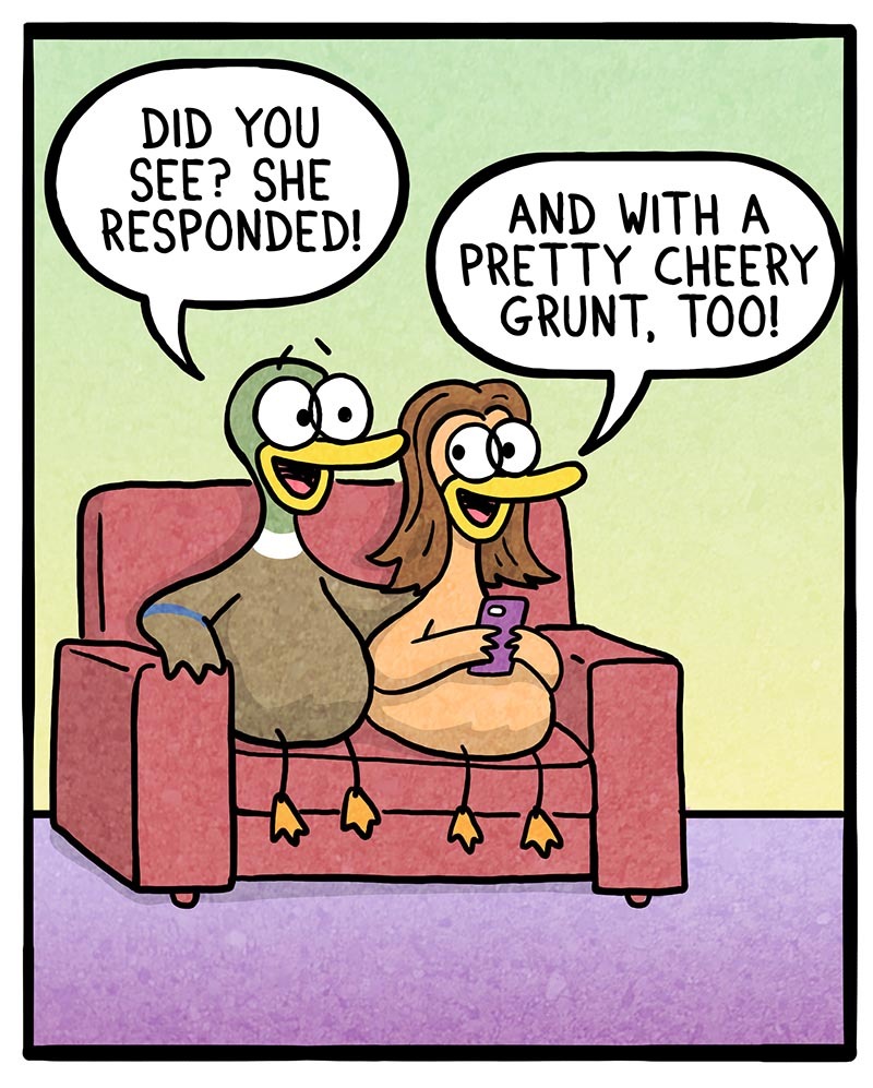 https://cdn.tinyview.com/fowl-language/2021/05/27/low-bar/low-bar-2.jpg