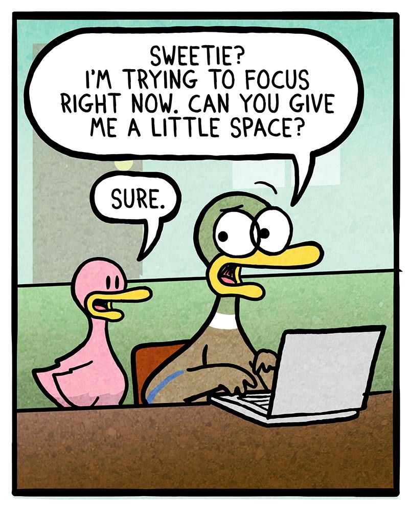 https://cdn.tinyview.com/fowl-language/2021/05/29/focus/focus-2.jpg
