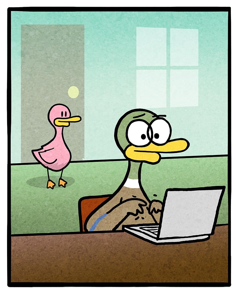 https://cdn.tinyview.com/fowl-language/2021/05/29/focus/focus-3.jpg