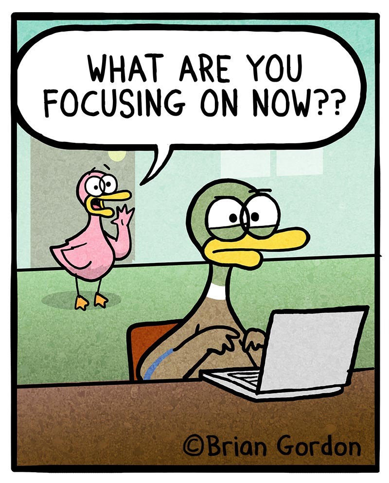 https://cdn.tinyview.com/fowl-language/2021/05/29/focus/focus-4.jpg