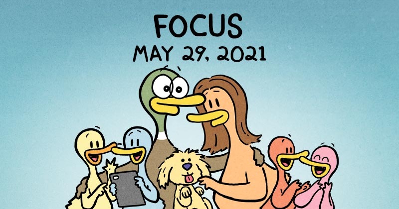 Focus