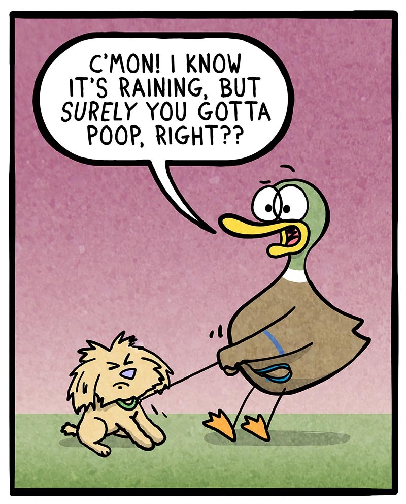 https://cdn.tinyview.com/fowl-language/2021/06/01/dogs-and-rain/dogs-and-rain-1.jpg