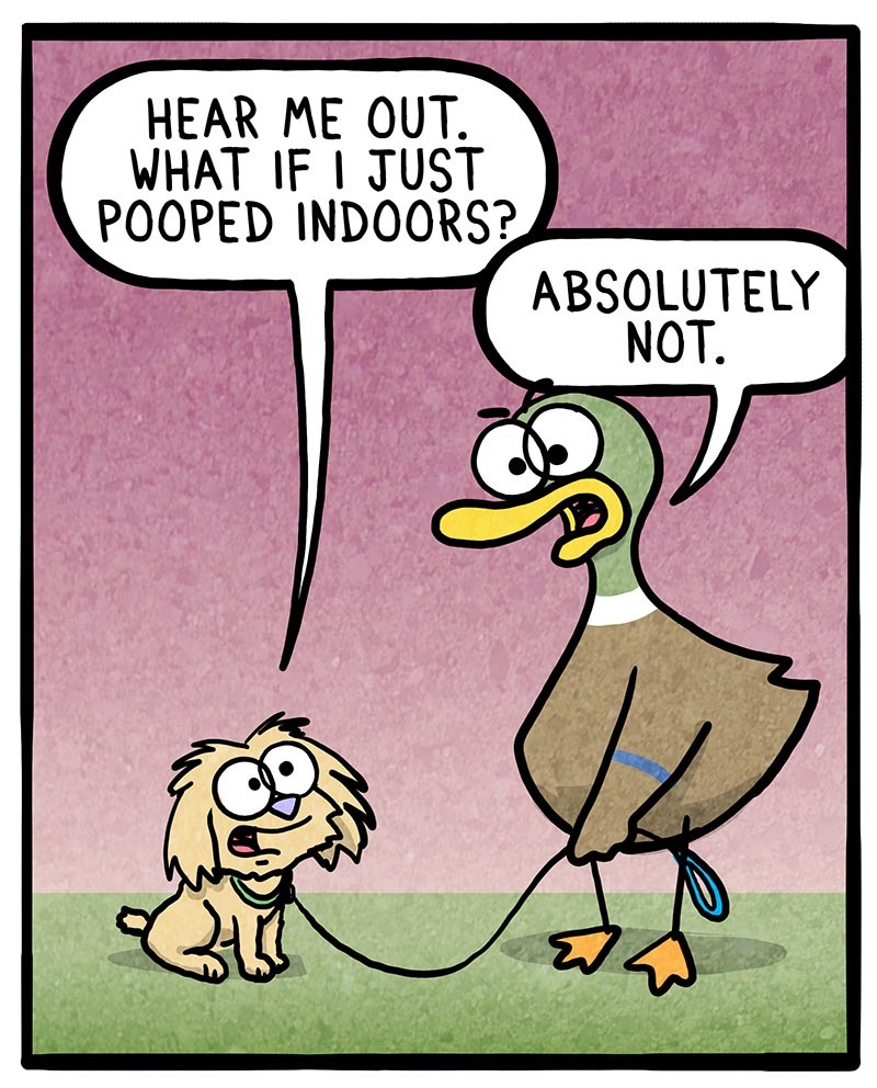 https://cdn.tinyview.com/fowl-language/2021/06/01/dogs-and-rain/dogs-and-rain-2.jpg