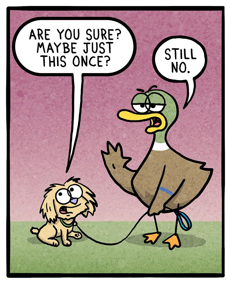 https://cdn.tinyview.com/fowl-language/2021/06/01/dogs-and-rain/dogs-and-rain-3.jpg