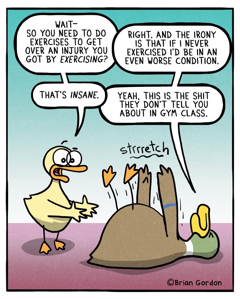 https://cdn.tinyview.com/fowl-language/2021/06/05/exercise/exercise.jpg