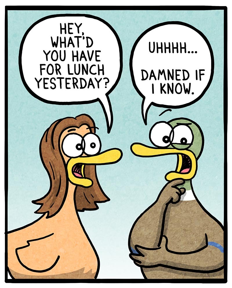 https://cdn.tinyview.com/fowl-language/2021/06/17/my-memory/my-memory-2.jpg