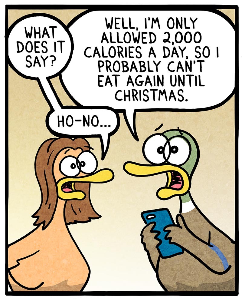 https://cdn.tinyview.com/fowl-language/2021/07/07/daily-calories/daily-calories-2.jpg