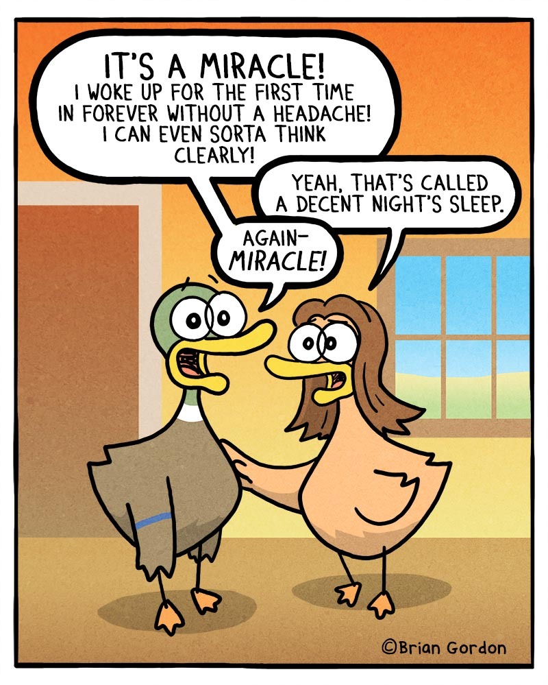 https://cdn.tinyview.com/fowl-language/2021/07/16/miracle/miracle.jpg